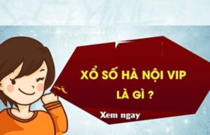 Xổ số HN Vip là gì